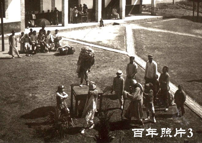 百年舞狮照片3 - 小狮子随锣鼓舞动