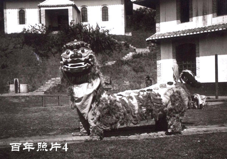 百年舞狮照片4 - 荷树湾教堂闹新年的大狮